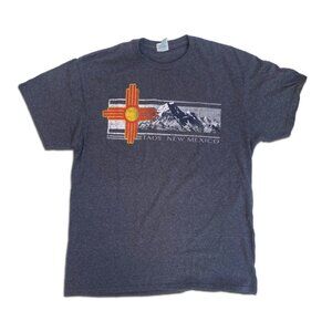 Taos New Mexico State USA Vintage Delta Pro Weight Grey Comfy T-shirt